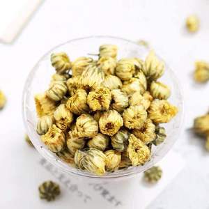 Factory Price Tea Bag <strong>Chrysanthemum</strong> Flavor <strong>Chrysanthemum</strong> Flower <strong>Seeds</strong> - Product Image 2