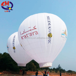 Grands ballons à air chaud amusants <span class=keywords><strong>prix</strong></span> ballons à air volants à vendre - Product Image 2