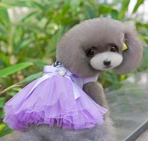 Nuovo vestito da <span class=keywords><strong>cane</strong></span> viola dongguan estivo <span class=keywords><strong>di</strong></span> alta qualità a basso prezzo con motivo a <span class=keywords><strong>cuore</strong></span> - Product Image 4