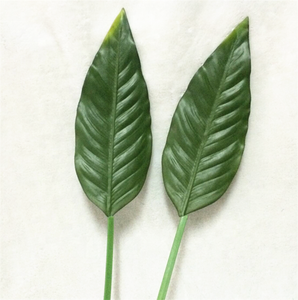 F-3069 verde hoja <span class=keywords><strong>de</strong></span> plátano Artificial <span class=keywords><strong>hojas</strong></span> <span class=keywords><strong>de</strong></span> plátano. - Product Image 2
