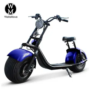 Büyük güç 1000w elektrikli motosiklet