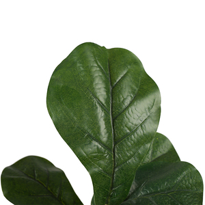 Décoration de meubles usine de simulation <span class=keywords><strong>pour</strong></span> le Violon artificiel feuilles figue de 1.0 M de haut - Product Image 4