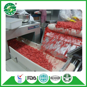 Pase internacional BRC fresa congelada <span class=keywords><strong>todo</strong></span> rojo para la venta - Product Image 1