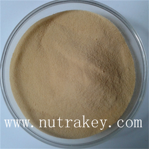 Alta calidad del agua cardo mariano extracto en polvo - Product Image 1