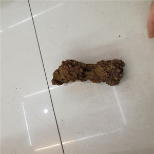 Bán Buôn Khủng Long Tự Nhiên Phân Hóa Thạch Chữa Bệnh Pha Lê Trang Trí Khủng Long Đá Hóa Thạch Để Bán - Product Image 4