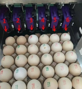 Máquina para Estampar Huevos con 6 Cartuchos de Tinta / Impresora de Huevos para 30000 Piezas / Máquina para Imprimir Fecha y Logotipo en Huevos - Product Image 2