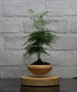 2016 New Product levitating decoration plant, potted plant floating - Product Image 2