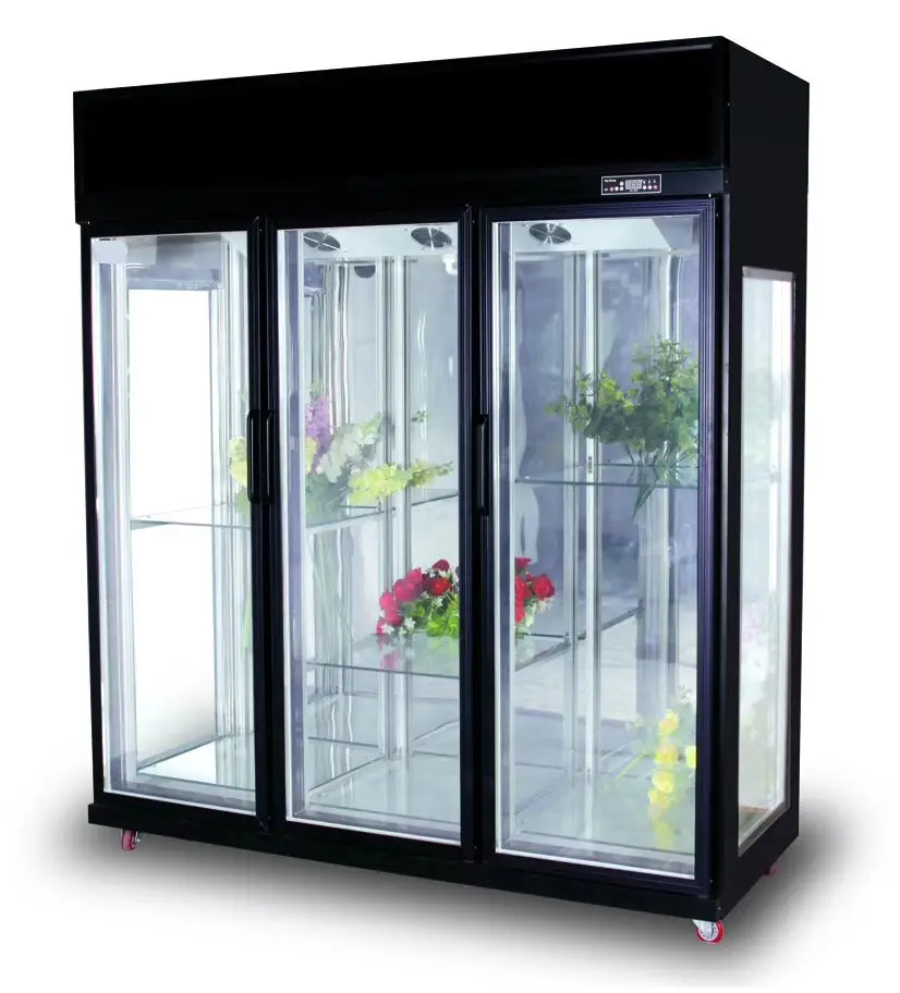 2019 New Design Glass Door Flower Freezer Showcase