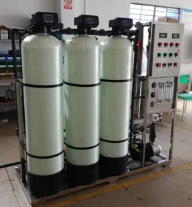 RO 1000 升净水器的小型工厂