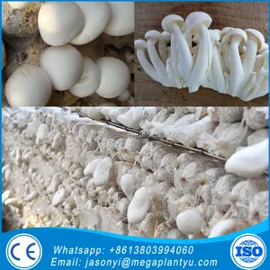Fungo nero Fungo Che Cresce Macchina/ostrica Fungo Insaccamento Attrezzature/Apparecchiature di Produzione di funghi