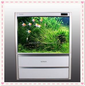 HLE Serie Arowana Tank/Ecologische <span class=keywords><strong>Aquarium</strong></span> <span class=keywords><strong>aquarium</strong></span> - Product Image 3