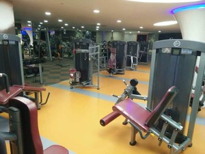 equipo de gimnasio Decline Chest Press XH948 - Product Image 2