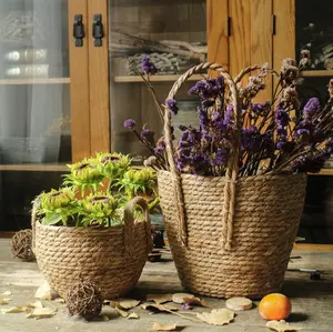 北欧手织海藻花园装饰客厅家具海草植物盆栽篮子