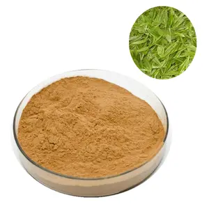 Bulk MSDS Best China Organic Tea Leaves EGCG Polyphenols Green Tea Extract