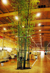 Cây Tre Giả Trang Trí Bán Sỉ Nhà Sản Xuất LS16072009 Để Bán - Product Image 2