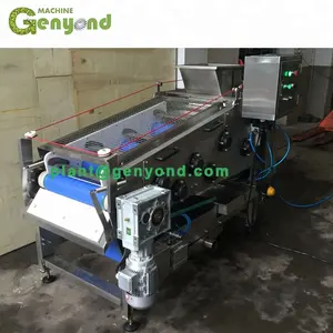 GYC Industria Belt Type Sugar Cane Sugarcane Apple Lemon Orange Fruit Vegetable Radish Juice Extractor With High Rate 75-83%