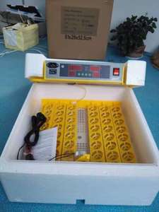 6336 Trứng Gà Của Lồng Ấp Trứng Tự Nhiên Nở - Product Image 4