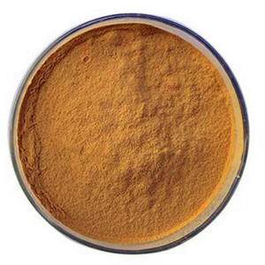 lactobacillus/lactobacilli