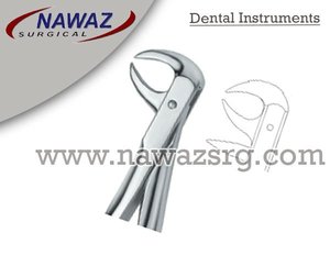 Forceps d'extraction dentaire Fig86 C manuel en acier inoxydable de haute qualité, instruments dentaires certifiés CE, vente chaude, logo personnalisé - Product Image 2