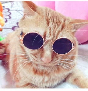 Fresh style cute amusing Pet sunglasses Retro classic <span class=keywords><strong>Circular</strong></span> Metal Prince sunglasses Travel Dog cats - Product Image 4