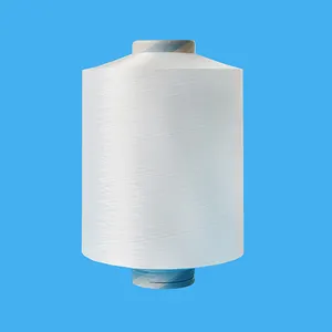 70D Nylon 6 Filament Yarn