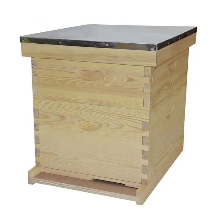 2 Lapisan Semua Jenis Sarang Lebah Kayu Cemara Sarang Lebah Madu Tahan Lama Penjualan Laris