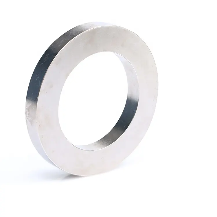 N50 powerful big ring Neodymium Magnets for Speaker