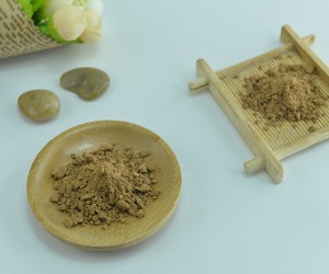 Muestra gratis <span class=keywords><strong>seta</strong></span> <span class=keywords><strong>Agaricus</strong></span> blazei extracto polvo ganoherb - Product Image 1