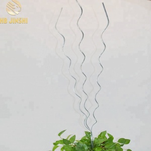 Piquet <span class=keywords><strong>de</strong></span> jardin en spirale, tomate tordue, fil en spirale - Product Image 6