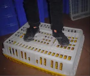 Cage de transport pour camion cage de poulet en plastique cage de transport de volaille en plastique cage de vente en gros