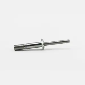 Stainless Steel Special Blind Rivet