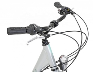 Bicicletta Vintage a 18 Velocità con Telaio in Acciaio per Donna / Bicicletta Urbana Vintage da 28 Pollici / Bici da Città - Product Image 5