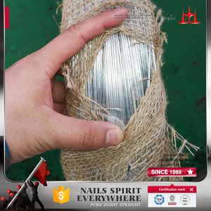 20G 16G giá thấp Electro sắt mạ kẽm ràng buộc dây - Product Image 3