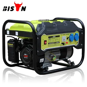 BS2500 BISON China Taizhou Home Use Standby 2kw Cooper Wire Recoil Start Electric Start Portable Generator