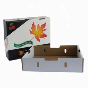 Custom Cardboard Gift Food Packaging Box for 5.5 KG 11LBS Box Carton Recyclable Accept Fruit Corrugated Board