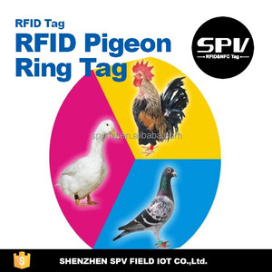 Ring Pigeon RFID Tag (125 kHz/134.2 kHz chip optional) for tracking animals Services - Product Image 2