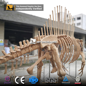 Mi dinosaurio esqueleto de Spinosaurus de tamaño Real de Dino para centro comercial, guardería y exposiciones de jardín de infantes en el aeropuerto - Product Image 3