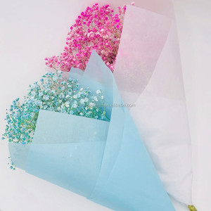 Giấy Màu 17G Giấy Gói Hoa Quả Và Hoa Màu MF 50*75CM - Product Image 6