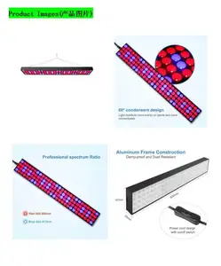 Sản xuất chuyên nghiệp LED Trồng Ánh Sáng cho cây gai/Rau Hoa Trái Cây Nhà Kính Ngày Càng Lights/rau