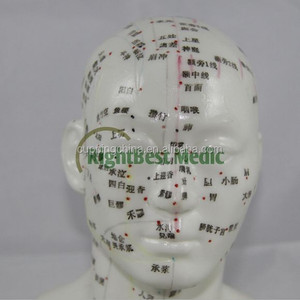 Inglés Médico Modelo de la acupuntura cabeza humana puntos de acupuntura modelo 21 cm