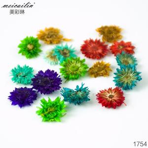 12 couleurs 3D Nail Art décoration vraie fleur séchée sèche - Product Image 6