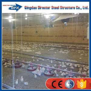 Chicken poultry breeding container homes for sale - Product Image 4