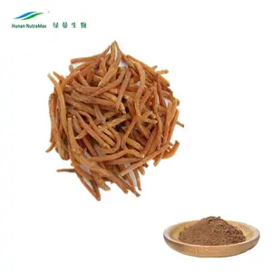 Chine Fabricant Extrait De Plante de Racine de Ginseng Rouge Coréen P.E. 3%-15% Ginsénosides