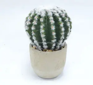 Top Artificial Cactus BallとRound Cement Pot_HC-DS3823-4