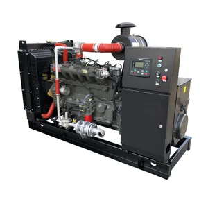 Ce Iso Goedgekeurd 250kva 200kva 100kva 80kva 60kva 50kva Aardgas Generator Set