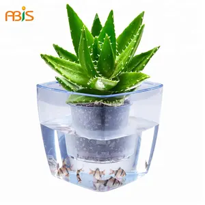 盆栽植物浇水系统水晶玻璃与鱼花盆模具