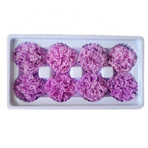 Crisantemos Preservados de 4-5 cm, Más de 20 Colores para el Día de la Madre, San Valentín, Graduación, Navidad, Año Nuevo - Product Image 3