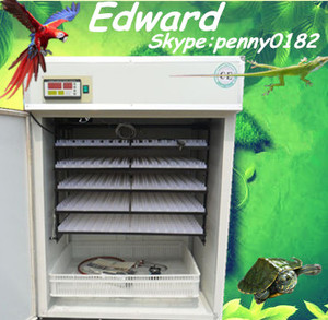 <span class=keywords><strong>La</strong></span> celebración de huevos 48 pequeño reptil incubadora del huevo ew-2 grande para <span class=keywords><strong>la</strong></span> venta - Product Image 1