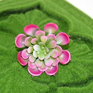Nuevo estilo directamente de la fábrica barato y de <span class=keywords><strong>alta</strong></span> calidad de PVC mini <span class=keywords><strong>echeveria</strong></span> planta - Product Image 5