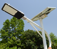 Venta caliente 12 voltios 60 W panel solar led Luz de calle luminaria led solar